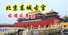 日本女人逼中国北京-东城古宫旅游风景区